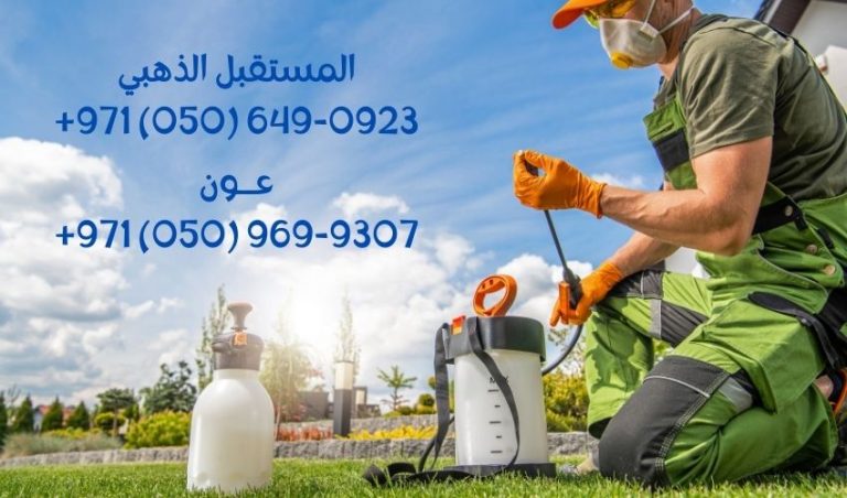 قائمة بأسماء أفضل شركة مكافحة حشرات في دبي