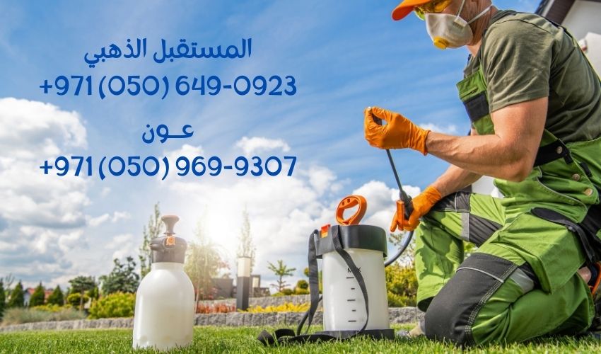 أفضل شركة مكافحة حشرات في دبي